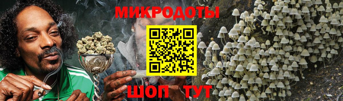 Истра  Псилоцибиновые грибы Psilocybine cubensis  Вход с VPN 