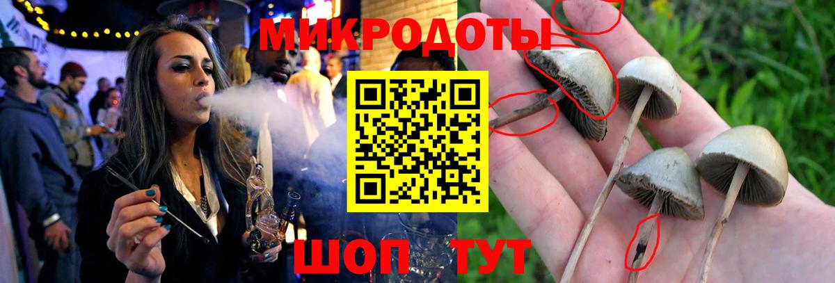 Галлюциногенные грибы мухоморы Истра